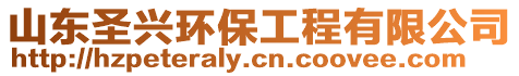 山東圣興環保工程有限公司