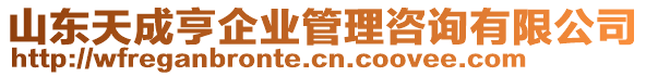 山東天成亨企業(yè)管理咨詢有限公司