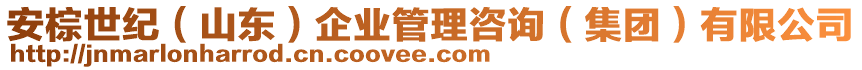 安棕世紀(jì)（山東）企業(yè)管理咨詢（集團(tuán)）有限公司