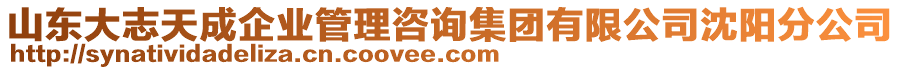 山東大志天成企業(yè)管理咨詢集團有限公司沈陽分公司