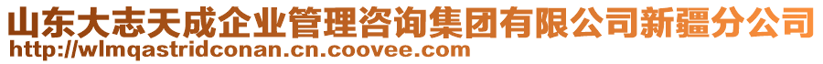 山東大志天成企業(yè)管理咨詢集團有限公司新疆分公司