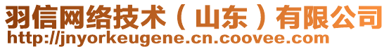 羽信網(wǎng)絡(luò)技術(shù)（山東）有限公司