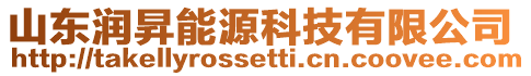 山東潤昇能源科技有限公司