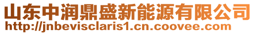 山東中潤鼎盛新能源有限公司