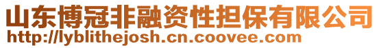 山東博冠非融資性擔保有限公司