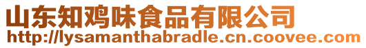 山東知雞味食品有限公司