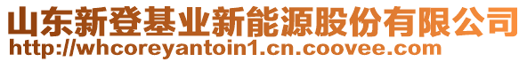 山東新登基業(yè)新能源股份有限公司