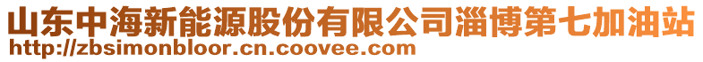 山東中海新能源股份有限公司淄博第七加油站