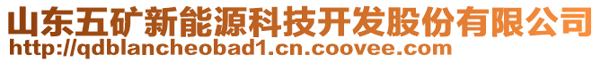 山東五礦新能源科技開發(fā)股份有限公司