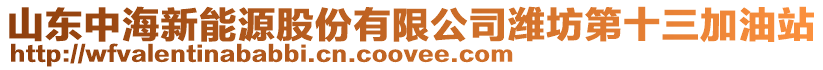 山東中海新能源股份有限公司濰坊第十三加油站