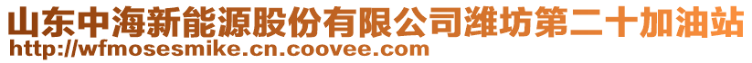 山東中海新能源股份有限公司濰坊第二十加油站