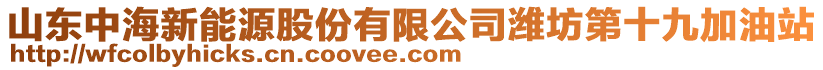 山東中海新能源股份有限公司濰坊第十九加油站