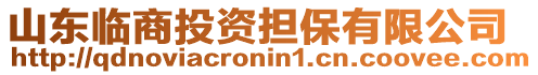 山東臨商投資擔保有限公司