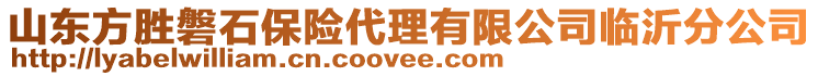 山東方勝磐石保險代理有限公司臨沂分公司