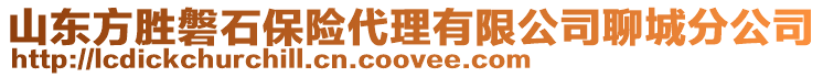 山東方勝磐石保險(xiǎn)代理有限公司聊城分公司