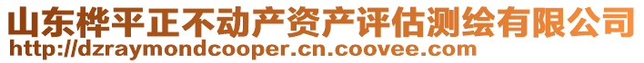 山東樺平正不動(dòng)產(chǎn)資產(chǎn)評(píng)估測(cè)繪有限公司