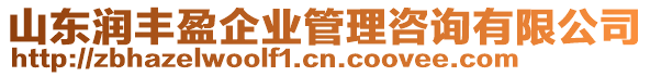 山東潤豐盈企業(yè)管理咨詢有限公司