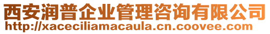 西安潤普企業(yè)管理咨詢有限公司