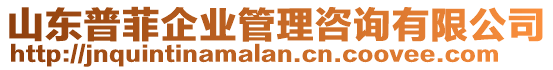 山東普菲企業(yè)管理咨詢有限公司