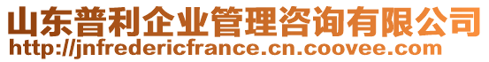 山東普利企業(yè)管理咨詢有限公司