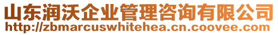 山東潤沃企業(yè)管理咨詢有限公司