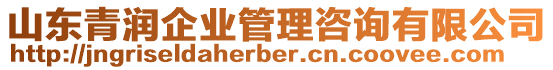 山東青潤企業管理咨詢有限公司