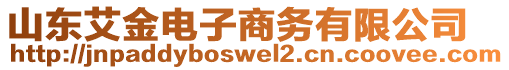 山東艾金電子商務(wù)有限公司