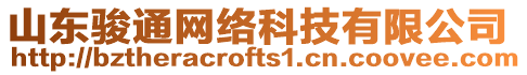 山東駿通網(wǎng)絡(luò)科技有限公司