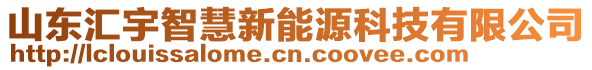 山東匯宇智慧新能源科技有限公司