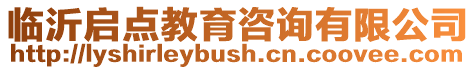 臨沂啟點教育咨詢有限公司