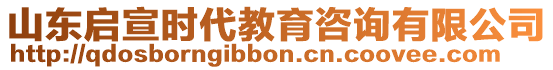 山東啟宣時(shí)代教育咨詢有限公司