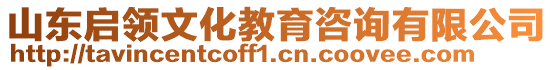 山東啟領文化教育咨詢有限公司
