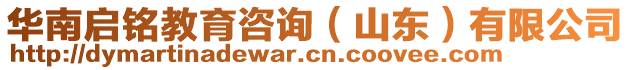 華南啟銘教育咨詢(山東)有限公司