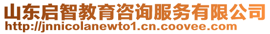 山東啟智教育咨詢服務(wù)有限公司