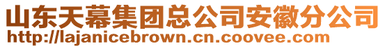 山東天幕集團(tuán)總公司安徽分公司