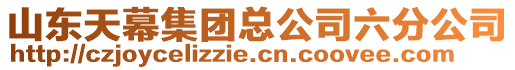 山東天幕集團(tuán)總公司六分公司