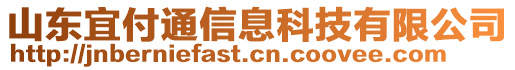 山東宜付通信息科技有限公司