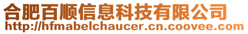 合肥百順信息科技有限公司