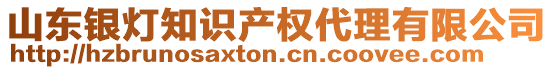 山東銀燈知識(shí)產(chǎn)權(quán)代理有限公司