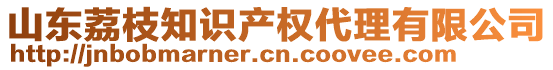 山東荔枝知識產權代理有限公司