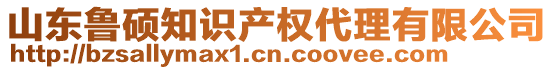 山東魯碩知識(shí)產(chǎn)權(quán)代理有限公司