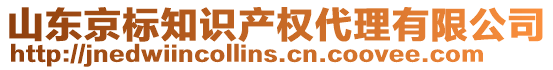 山東京標知識產權代理有限公司