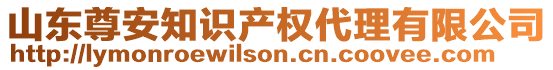 山東尊安知識(shí)產(chǎn)權(quán)代理有限公司