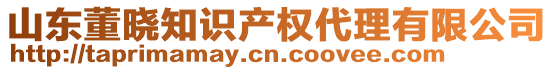 山東董曉知識產(chǎn)權(quán)代理有限公司