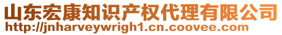 山東宏康知識(shí)產(chǎn)權(quán)代理有限公司