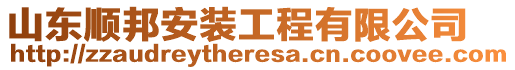 山東順邦安裝工程有限公司