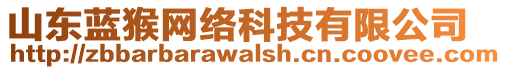 山東藍猴網(wǎng)絡科技有限公司