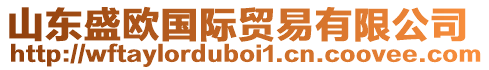 山東盛歐國際貿(mào)易有限公司