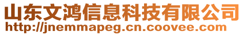 山東文鴻信息科技有限公司