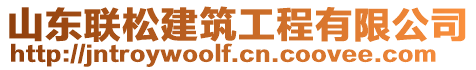 山東聯(lián)松建筑工程有限公司